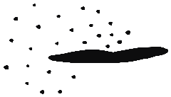 Image of the occurrence